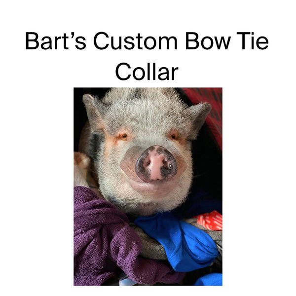 Bart’s Custom Bow Tie Collar