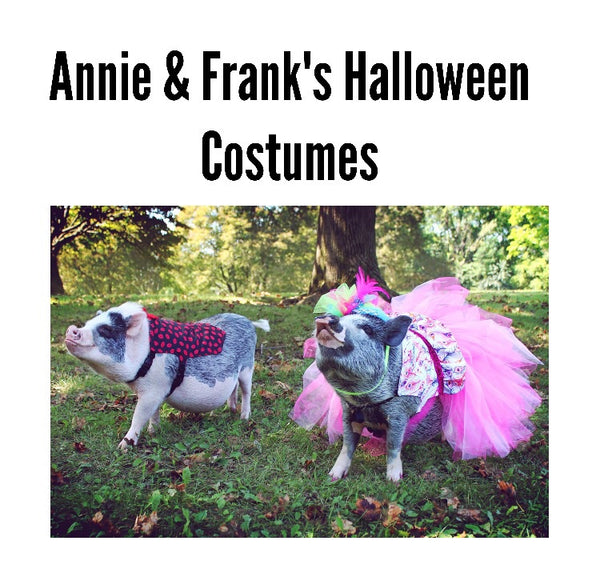 Annie & Frank's Custom Halloween Costume Listing