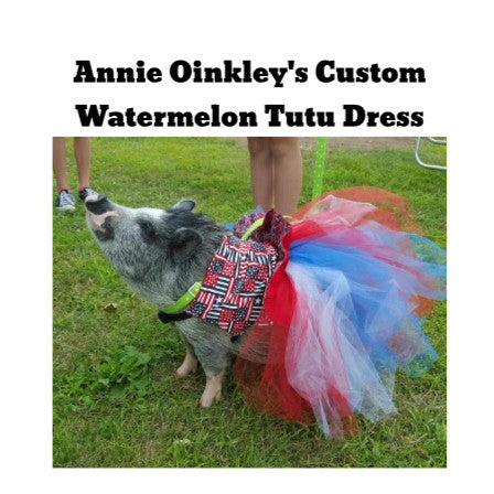 Annie Oinkley's Custom Watermelon Tutu Dress - Snort Life 