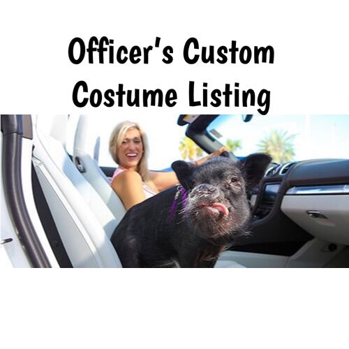 Officer’s Custom Costume Listing